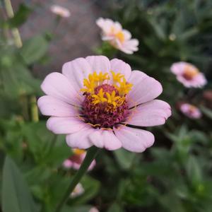 恃级BBBBBBBBB视频
